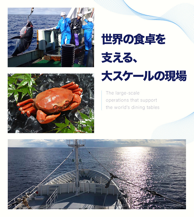 株式会社カネダイ - 宮城県 気仙沼駅 かに籠漁の船舶乗組員 採用サイト